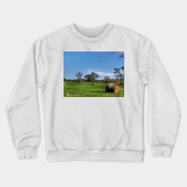 Cows Got Out Crewneck Sweatshirt by davidbstudios